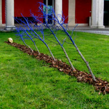 Anna Crescenzi, 2010, “Blu oltrecielo”, corteccia, rami, gesso, lamina d’oro, acrilico, cm. 103x400x70